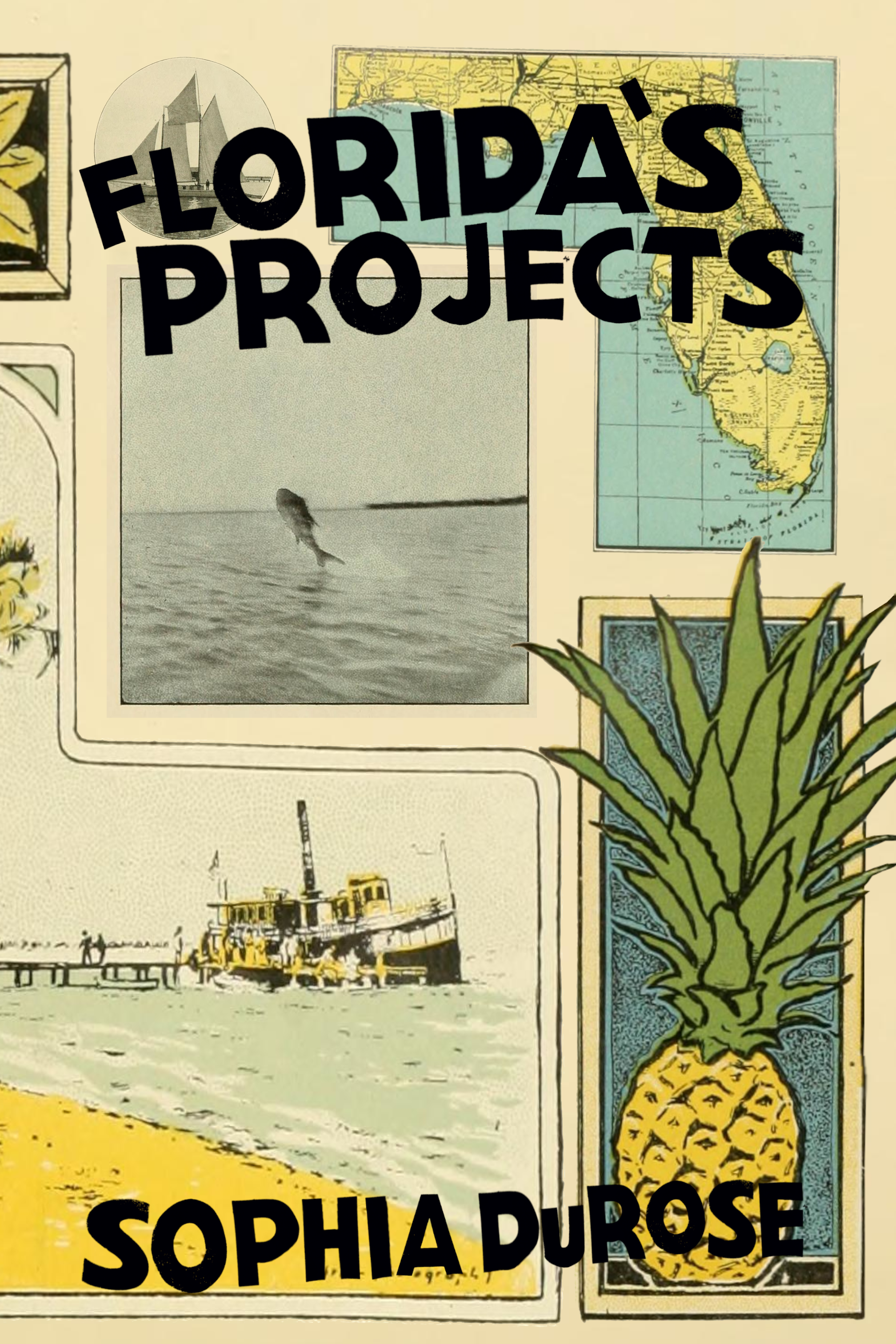 Florida's Projects, by Sophia DuRose