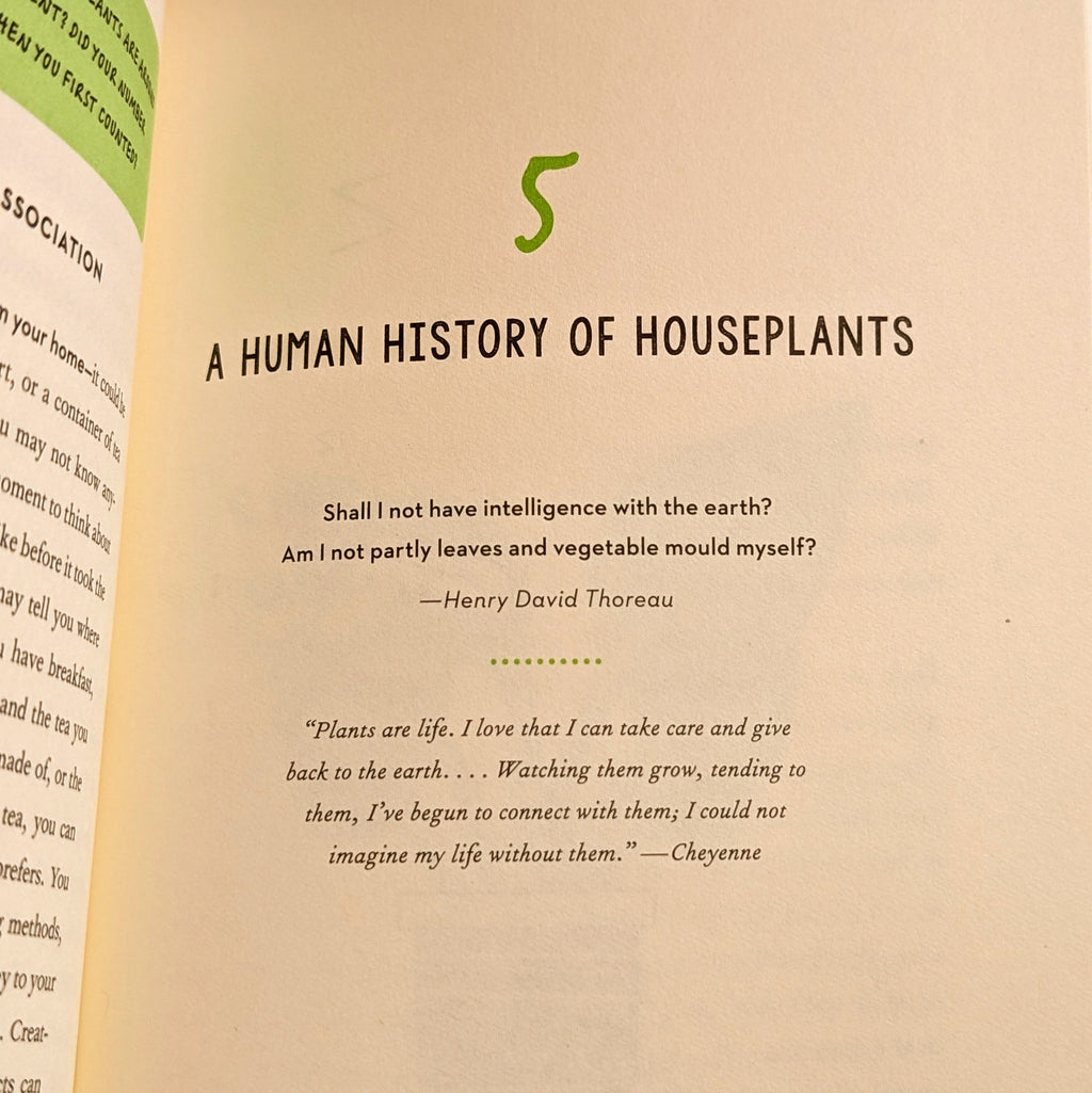 How to Make a Plant Love You: Cultivate Green Space in Your Home and Heart