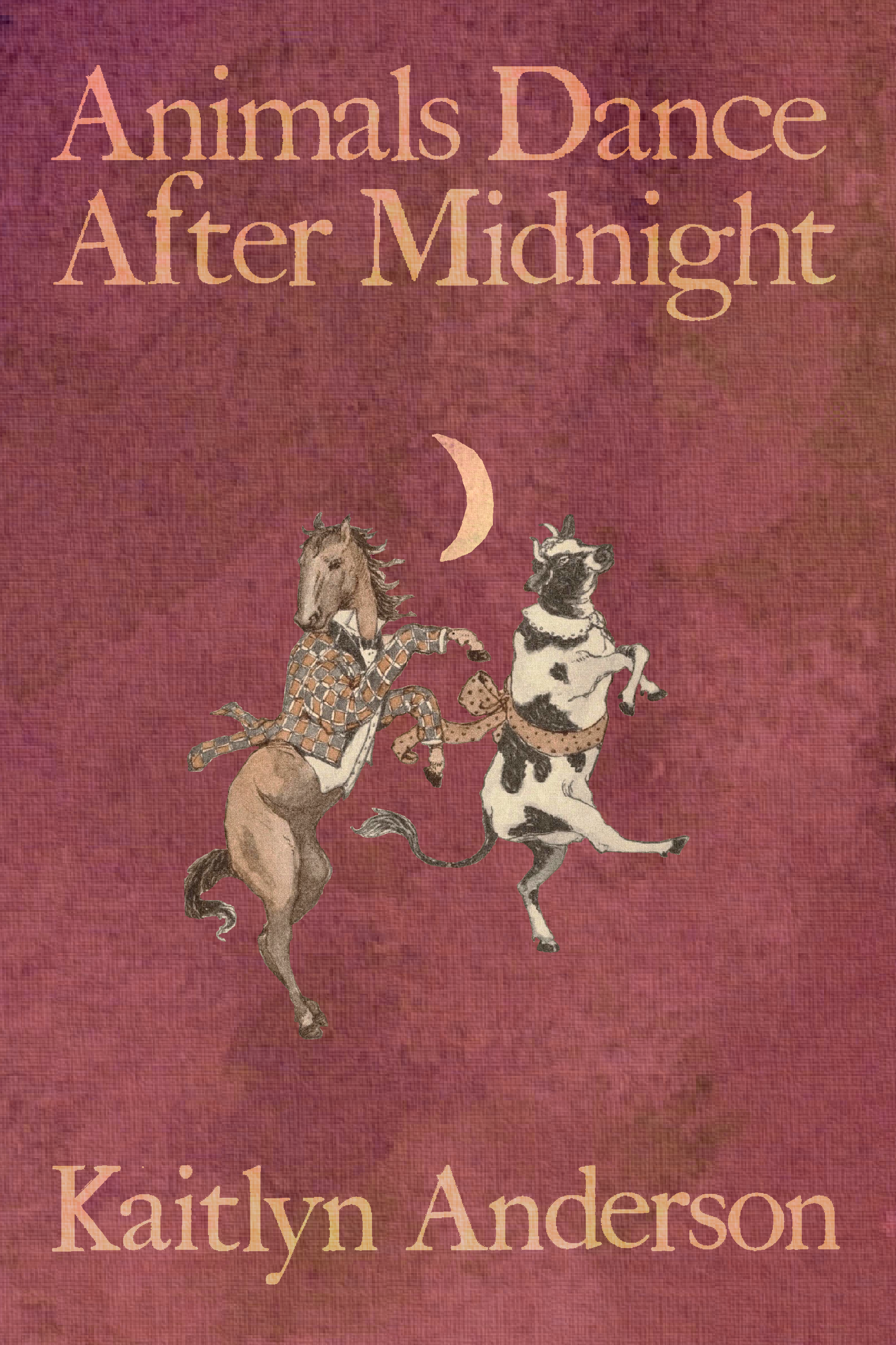Animals Dance After Midnight, by Kaitlyn Anderson