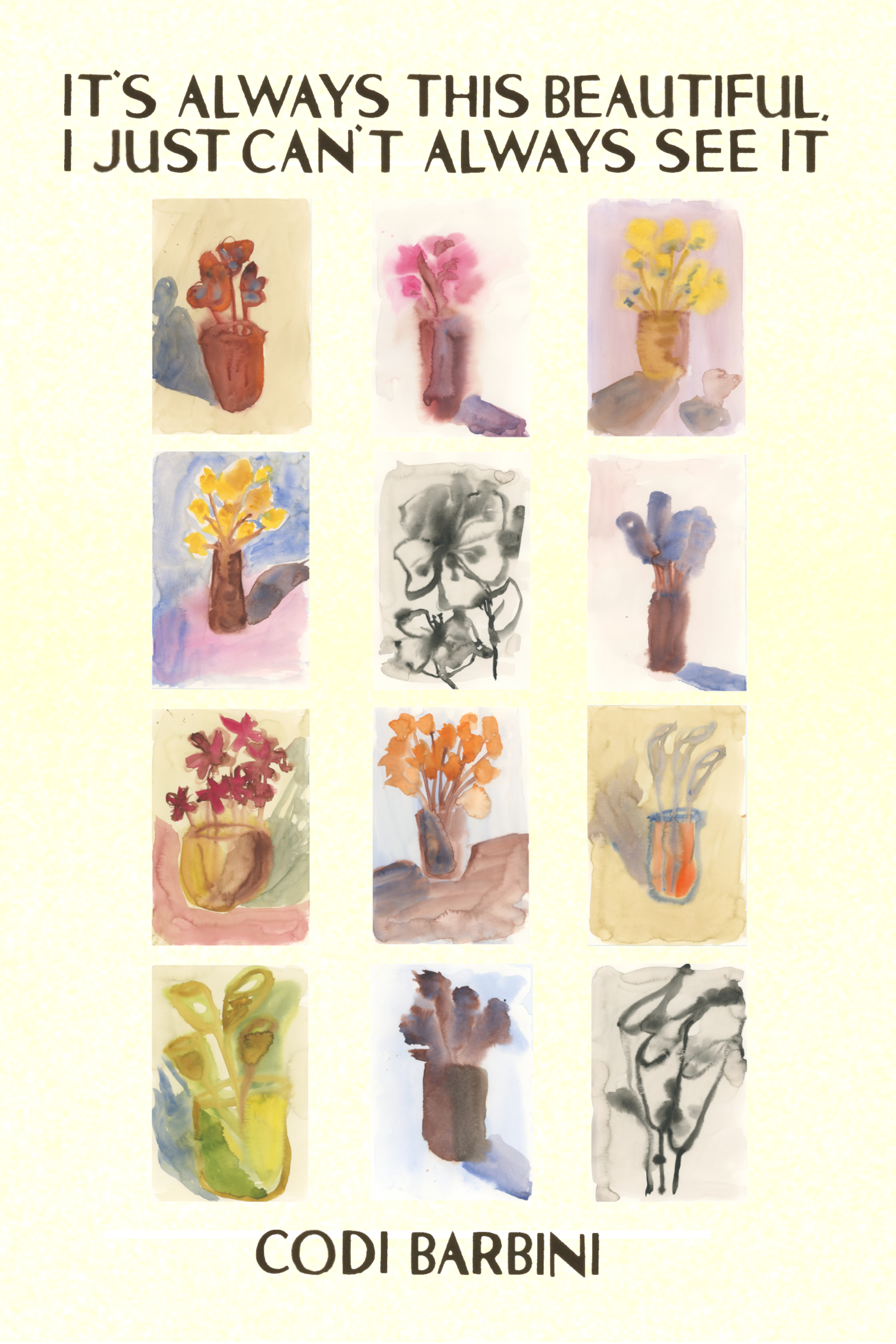 It's Always This Beautiful, I Just Can't Always See It, by Codi Barbini