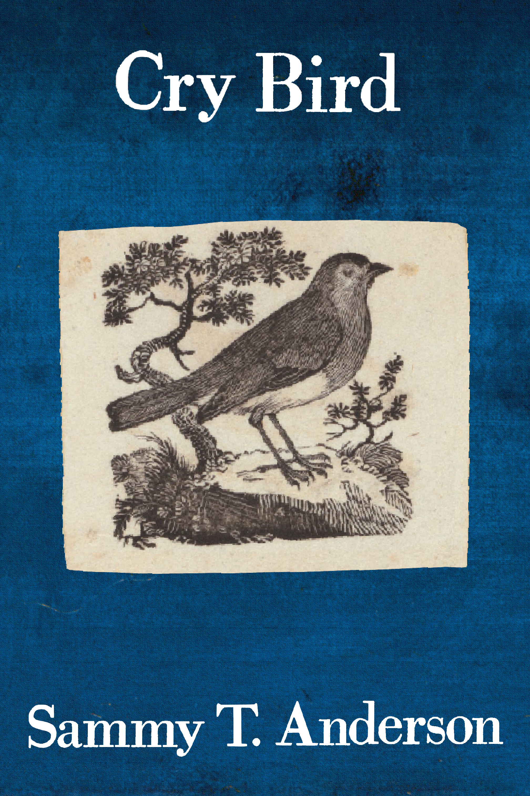 Cry Bird, by Sammy T. Anderson