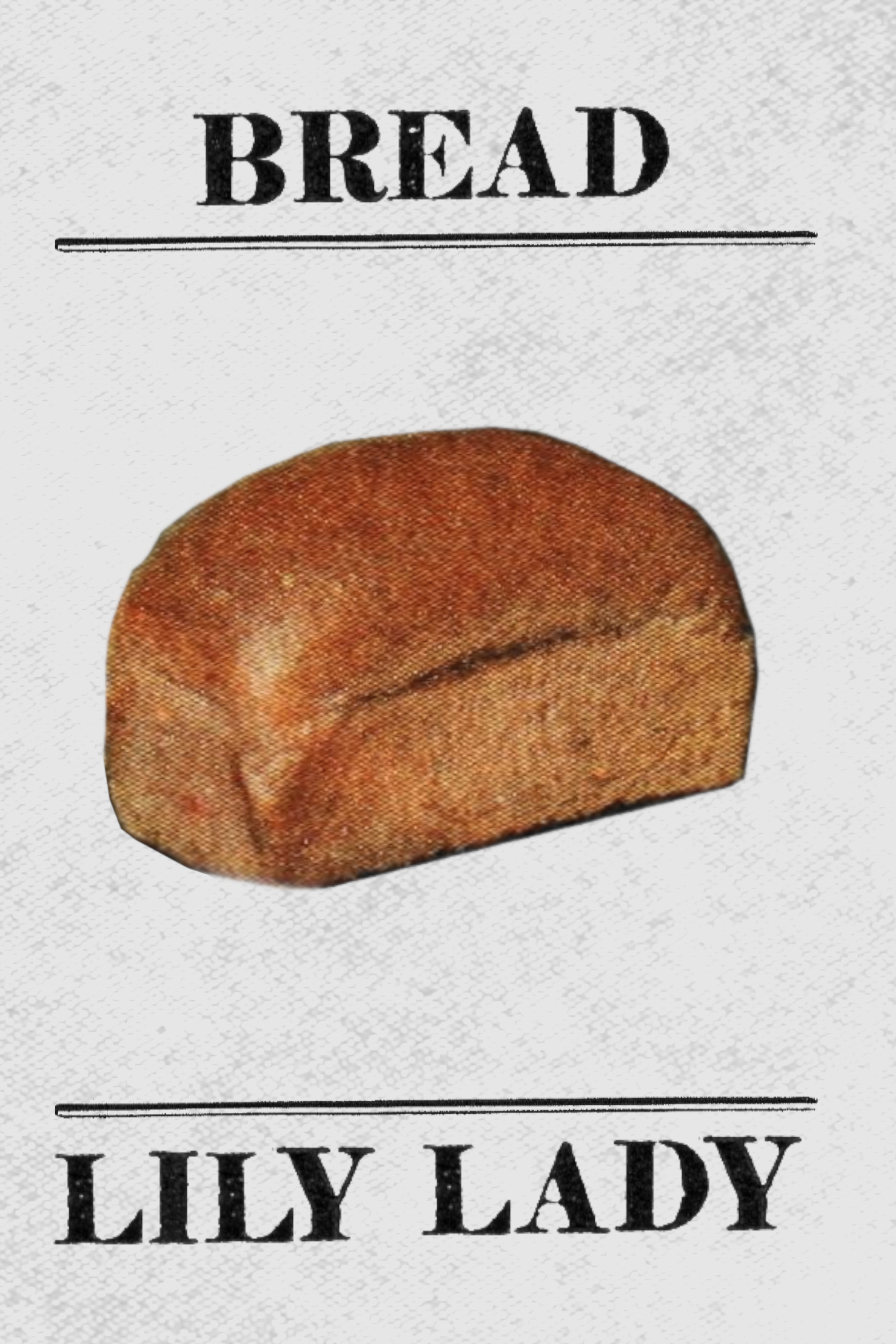 BREAD, by Lily Lady