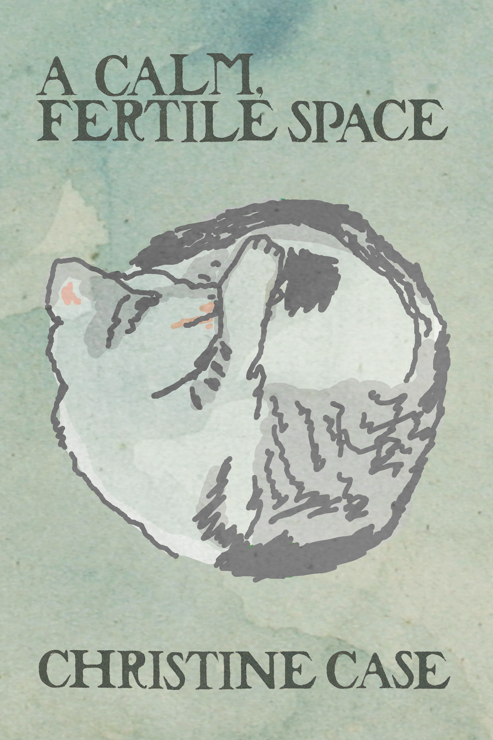 A Calm, Fertile Space, by Christine Case