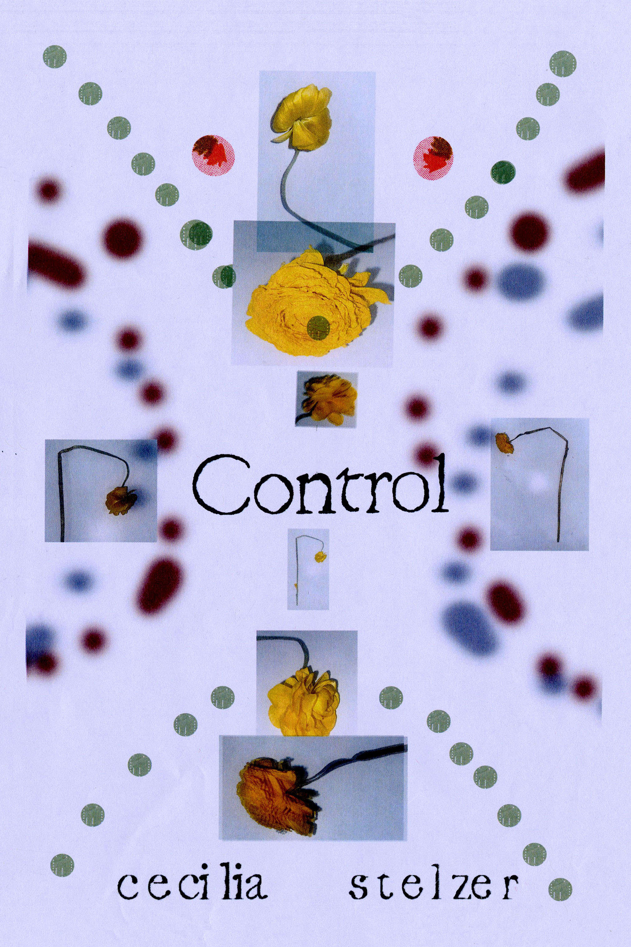 Control, by Cecilia Stelzer