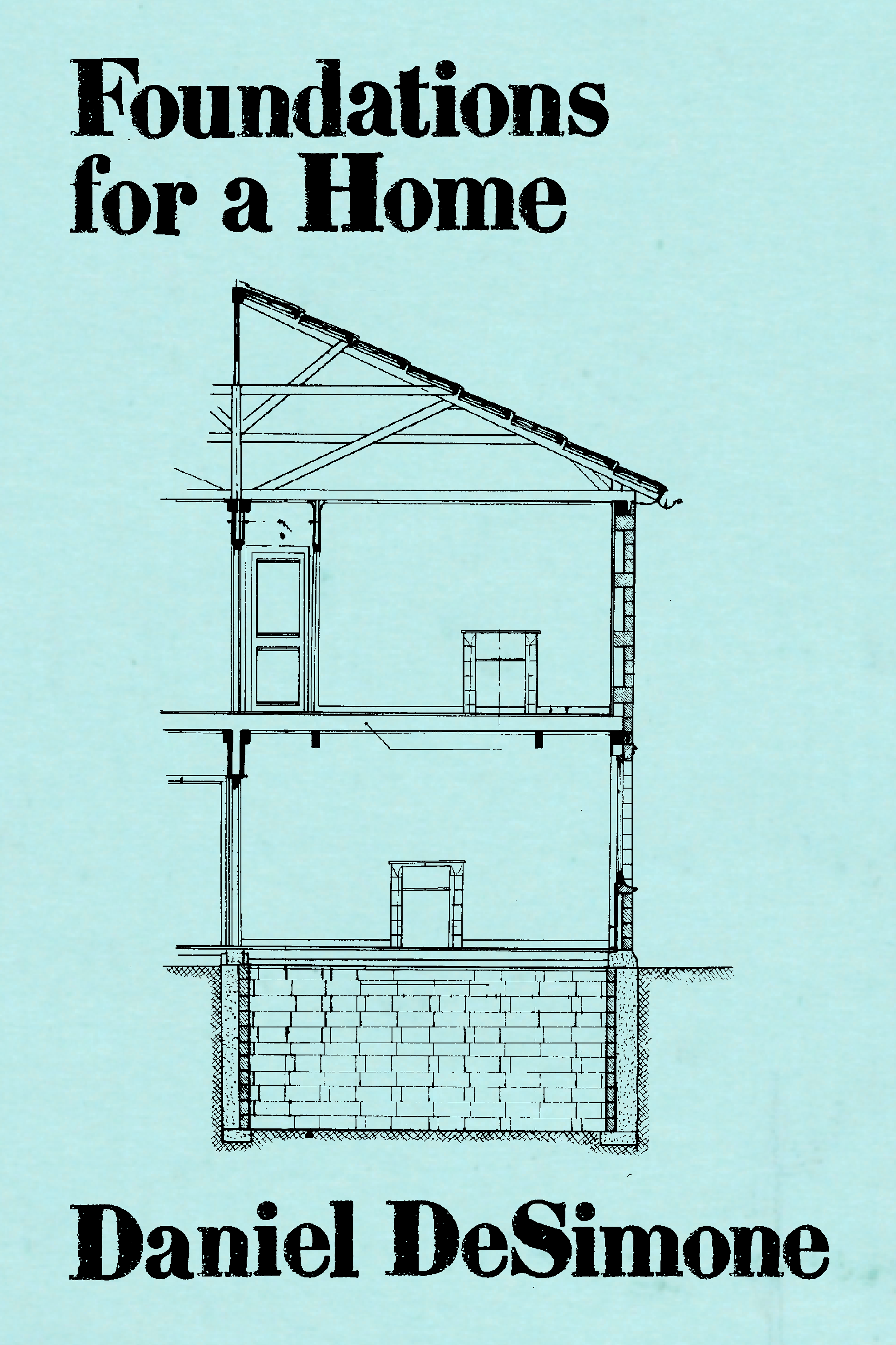 Foundations for a Home, by Daniel DeSimone