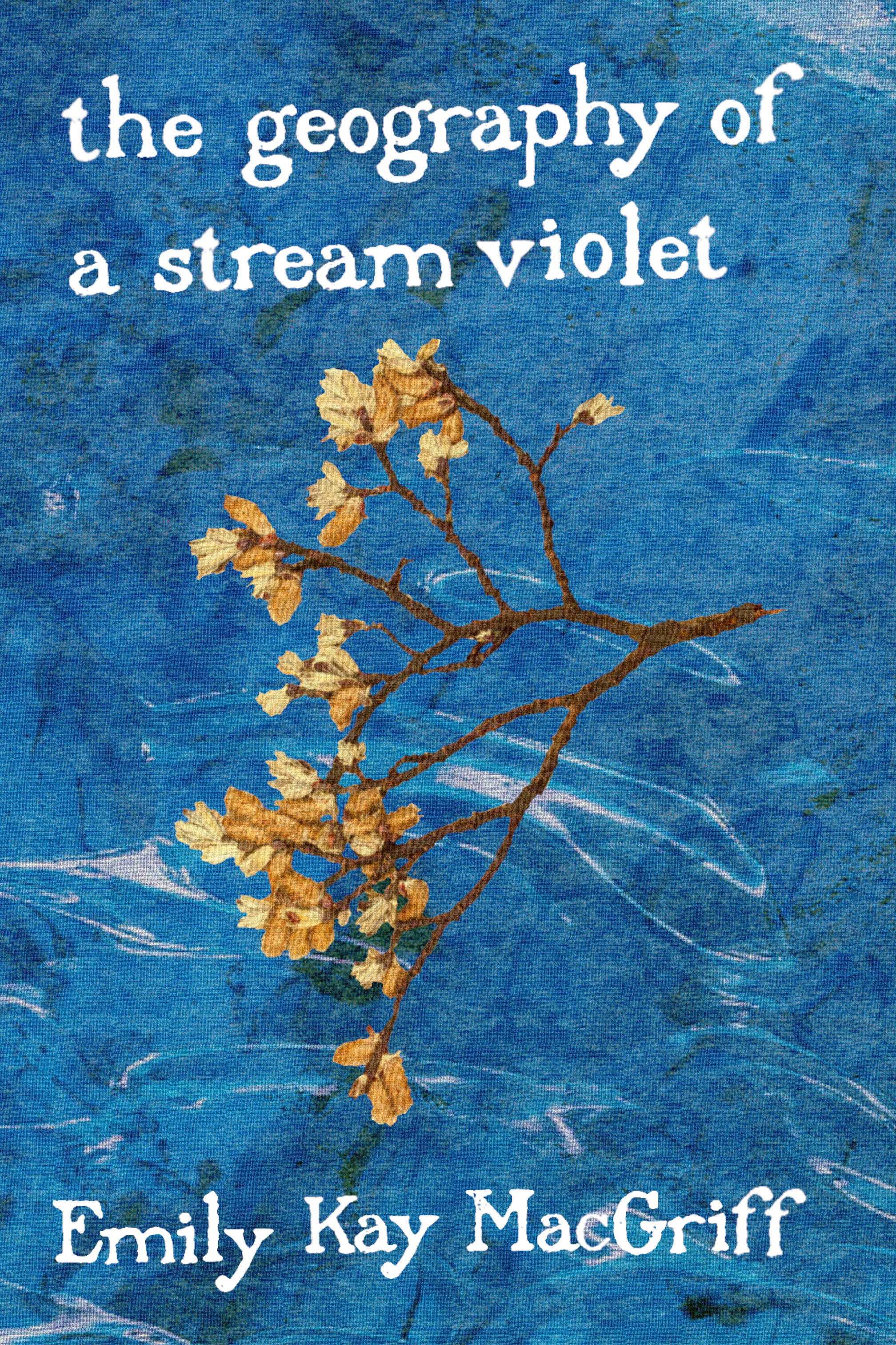 the geography of a stream violet, by Emily Kay MacGriff
