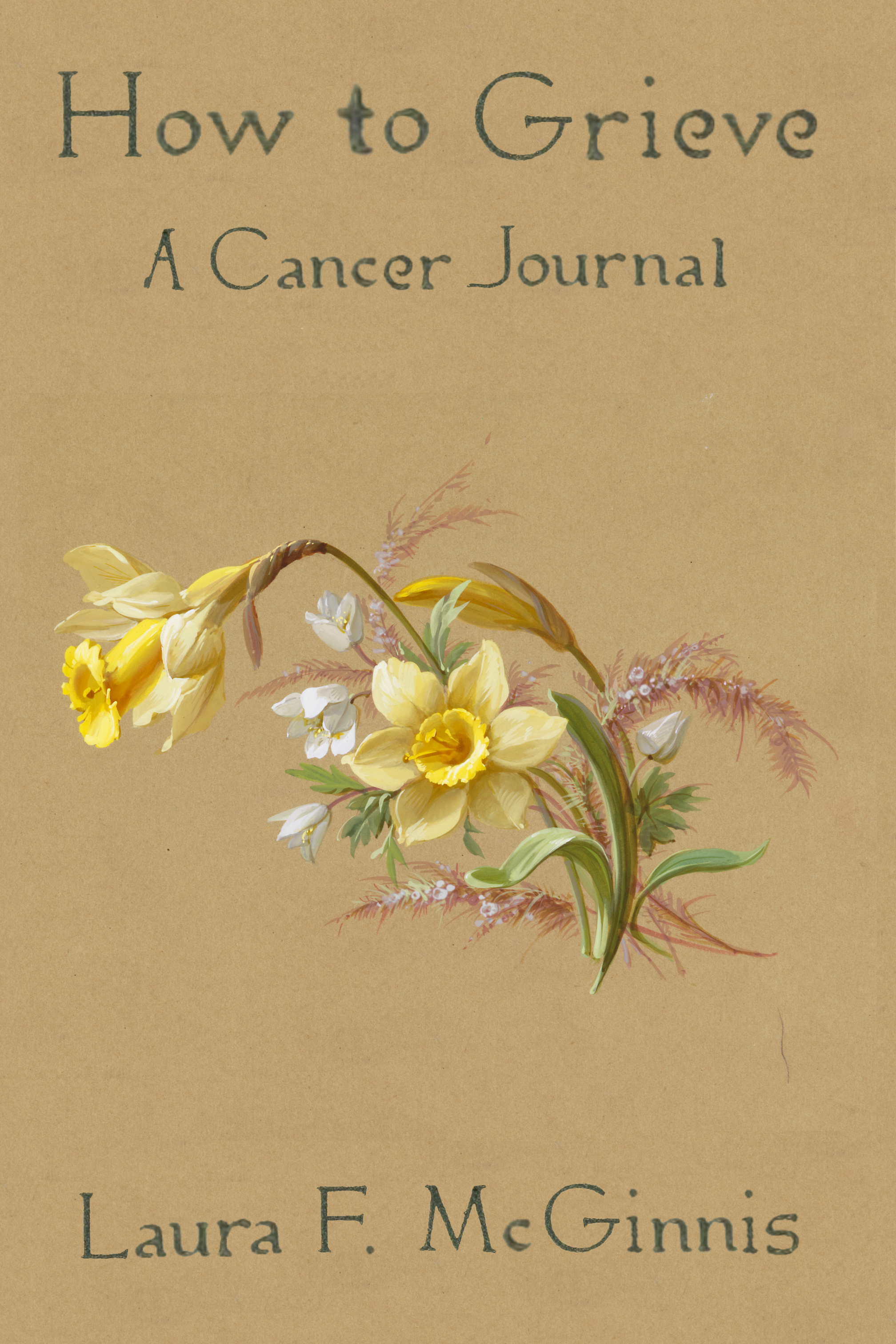 How to Grieve: a cancer journal, by Laura F. McGinnis