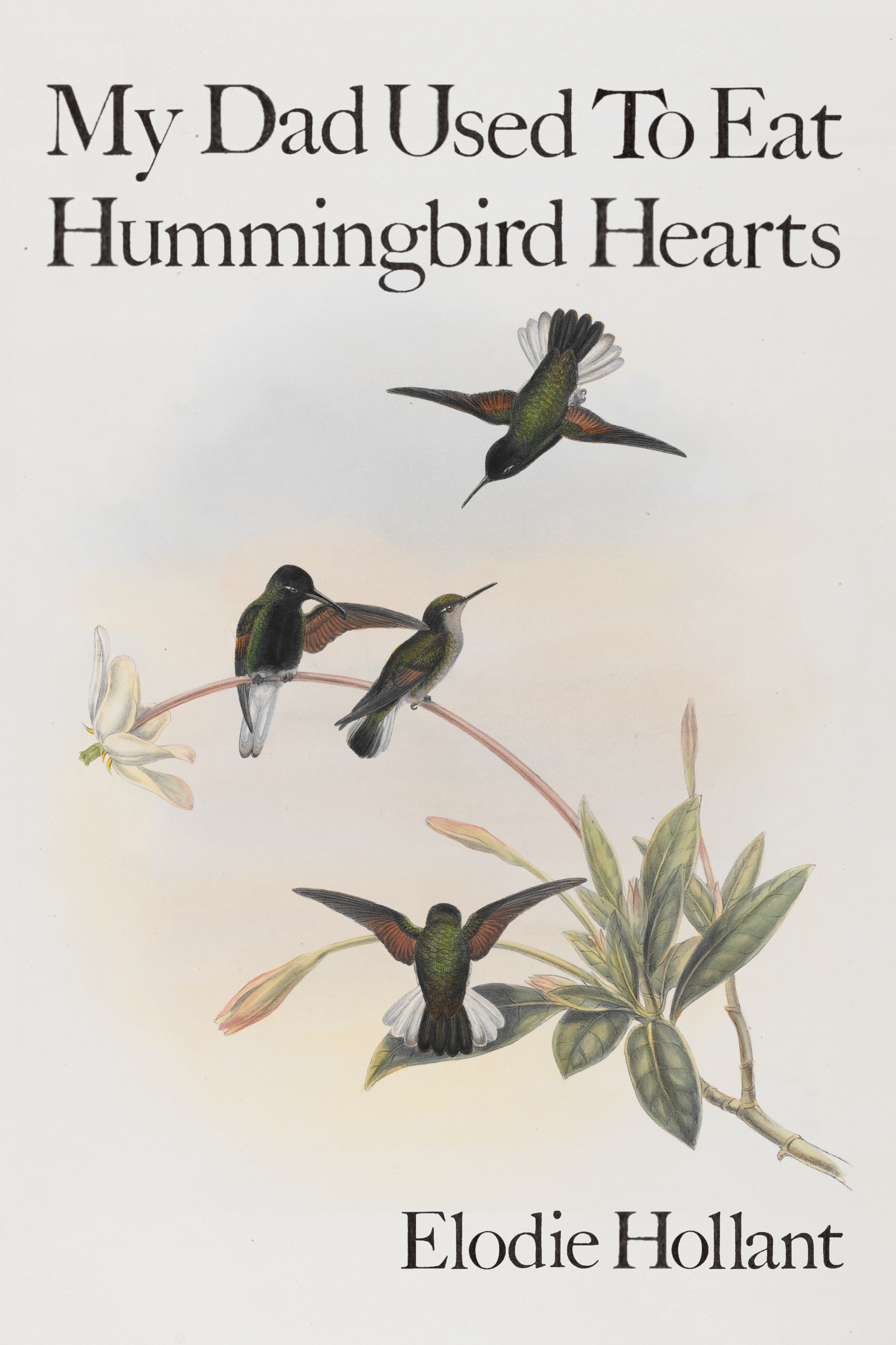 My Dad Used To Eat Hummingbird Hearts, by Elodie Hollant