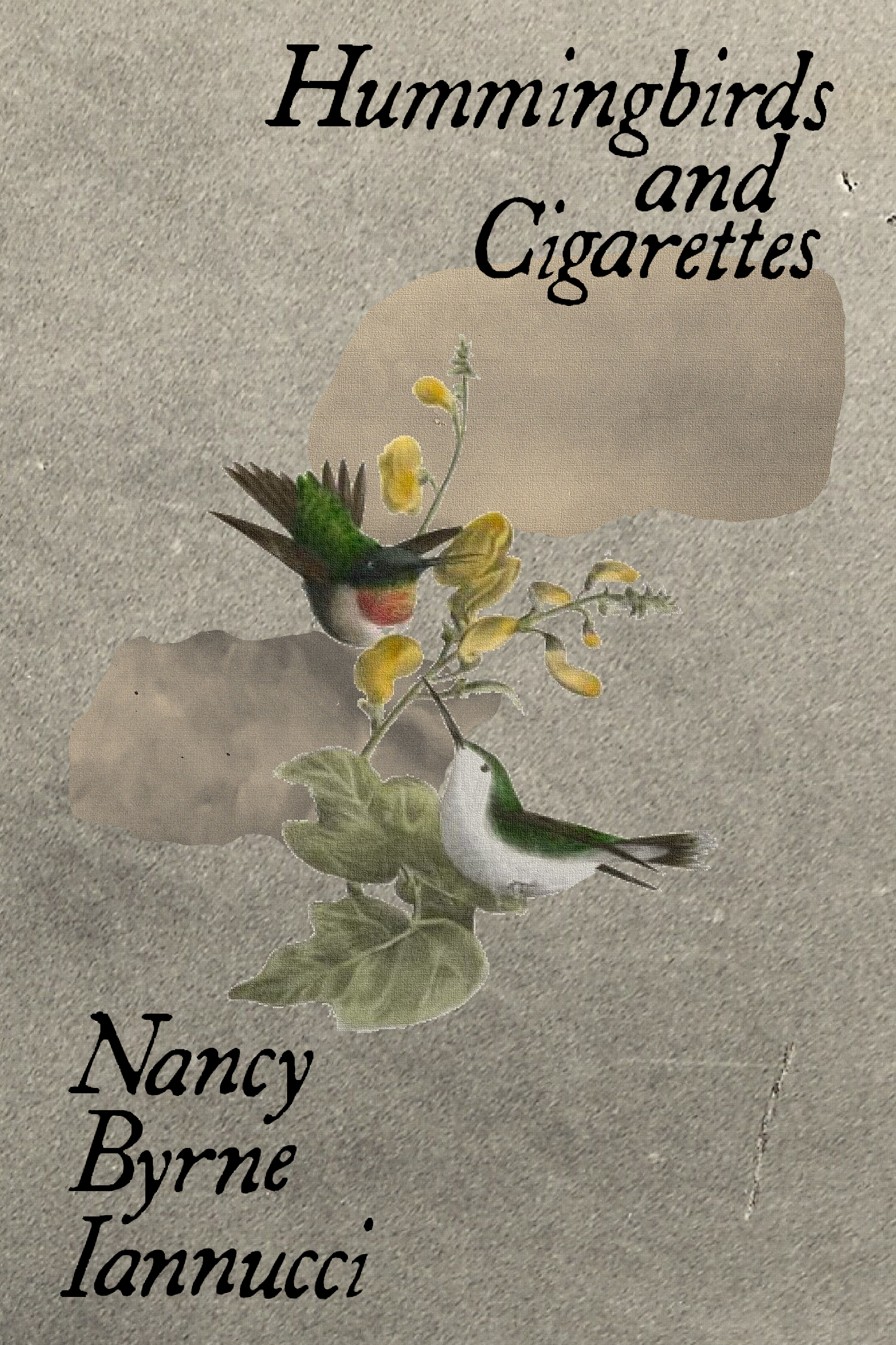 Hummingbirds and Cigarettes, by Nancy Byrne Iannucci
