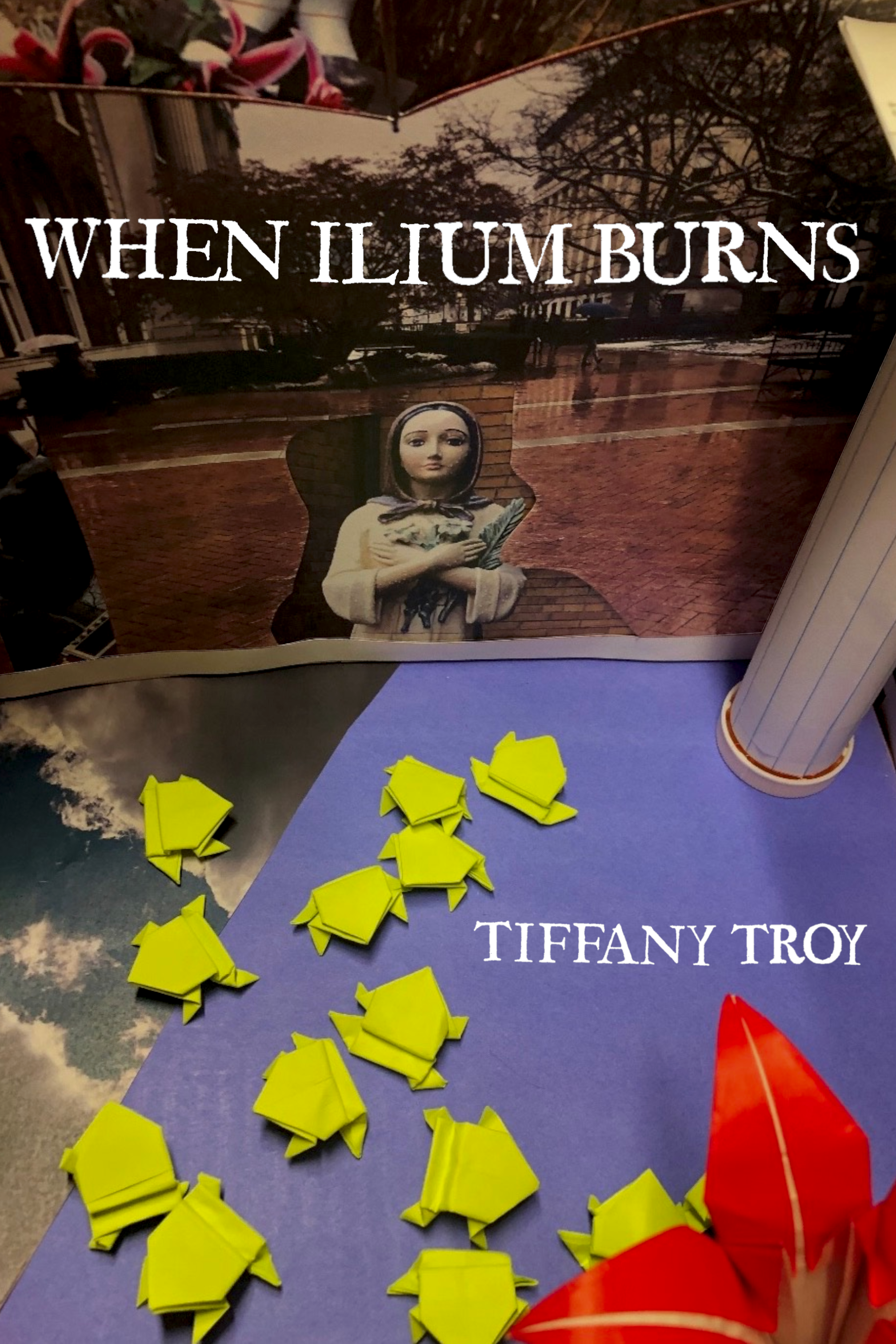 When Ilium Burns, by Tiffany Troy