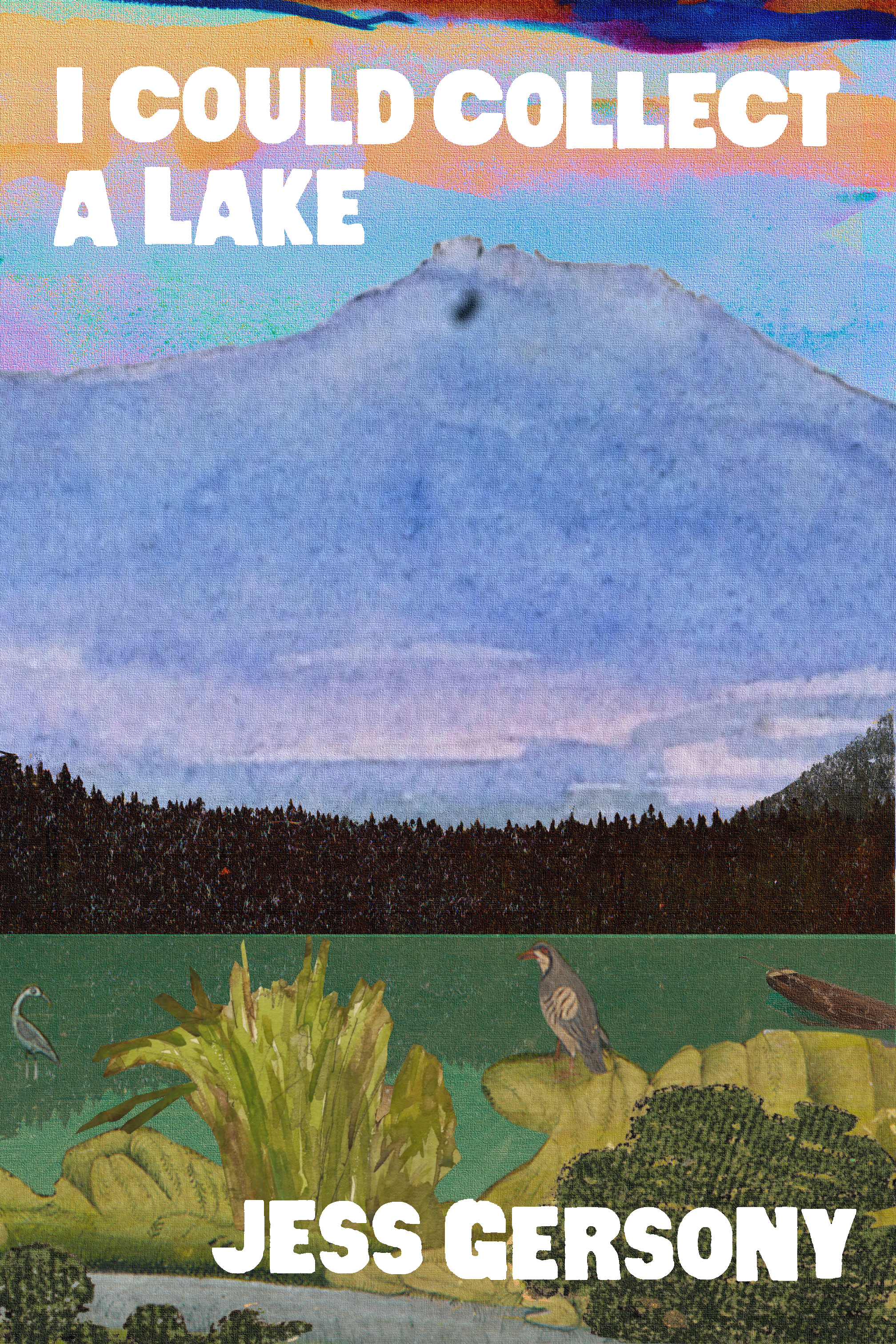 I Could Collect a Lake, by Jess Gersony