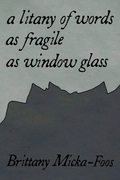 a litany of words as fragile as window glass, by Brittany Micka-Foos