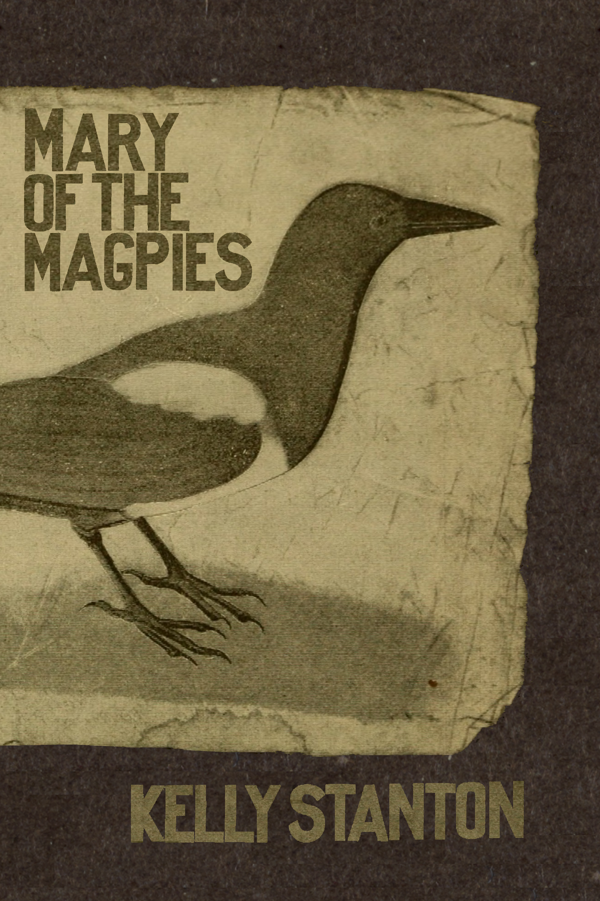 Mary of the Magpies, by Kelly Stanton