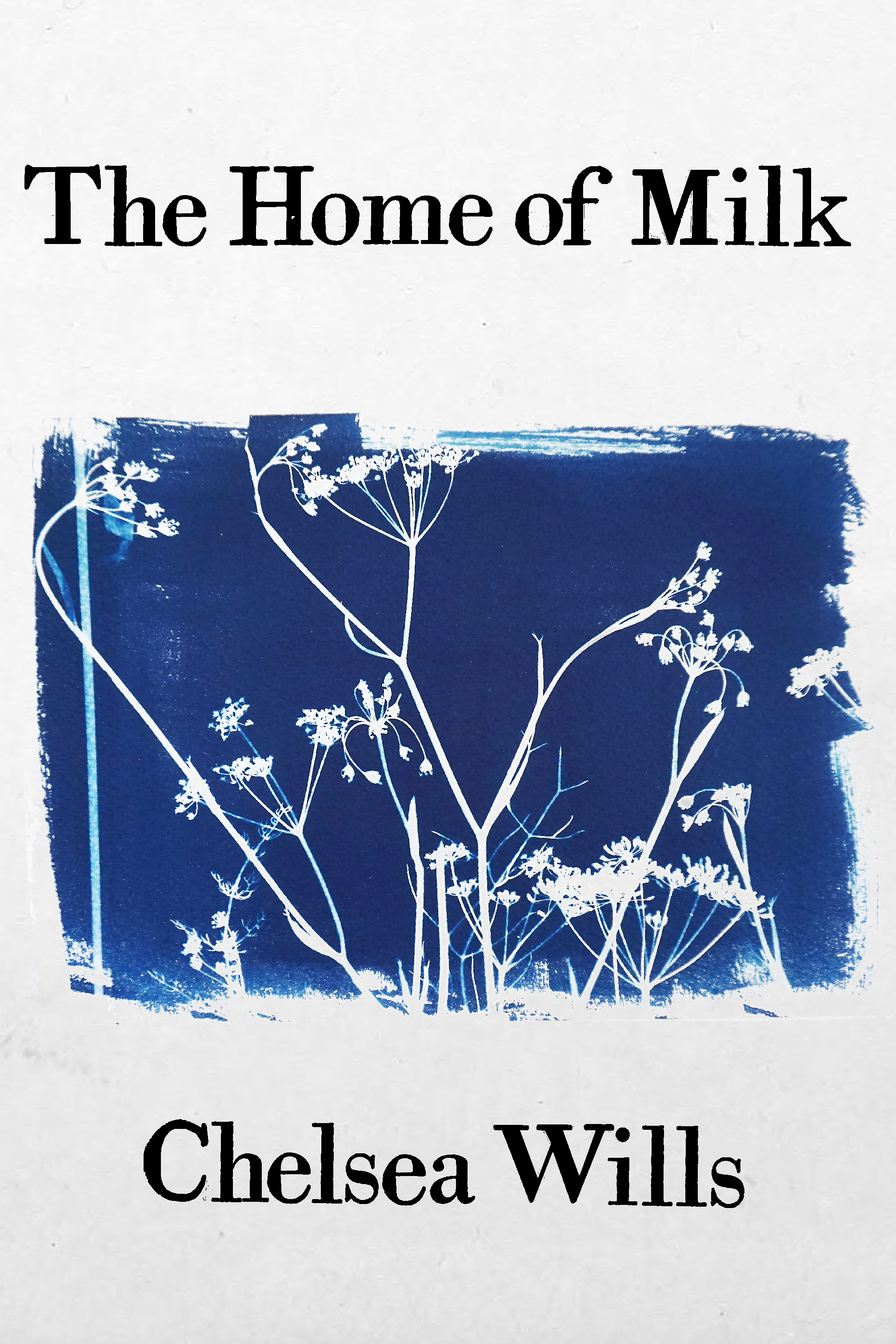 The Home of Milk, by Chelsea Wills