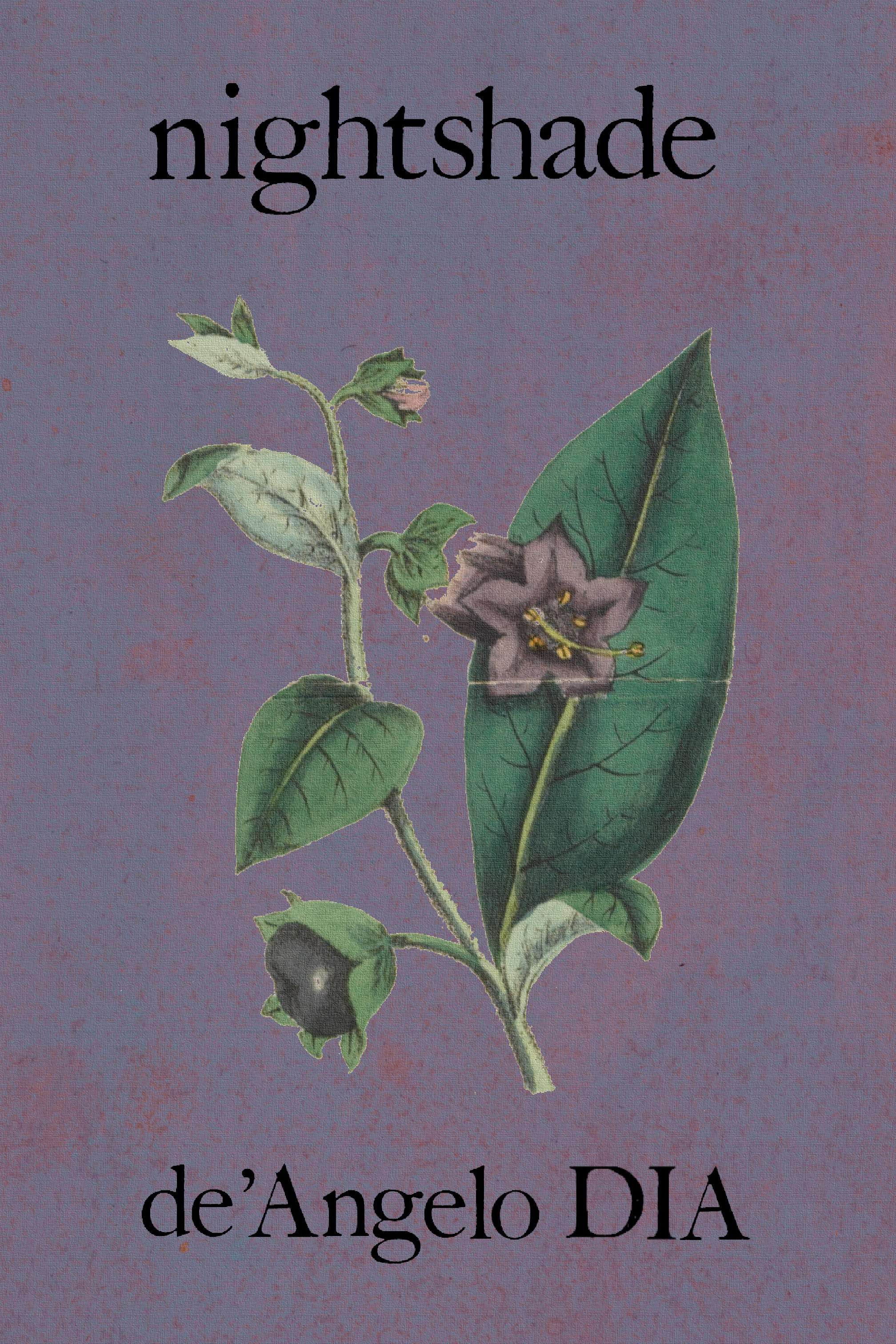 nightshade, by de'Angelo DIA