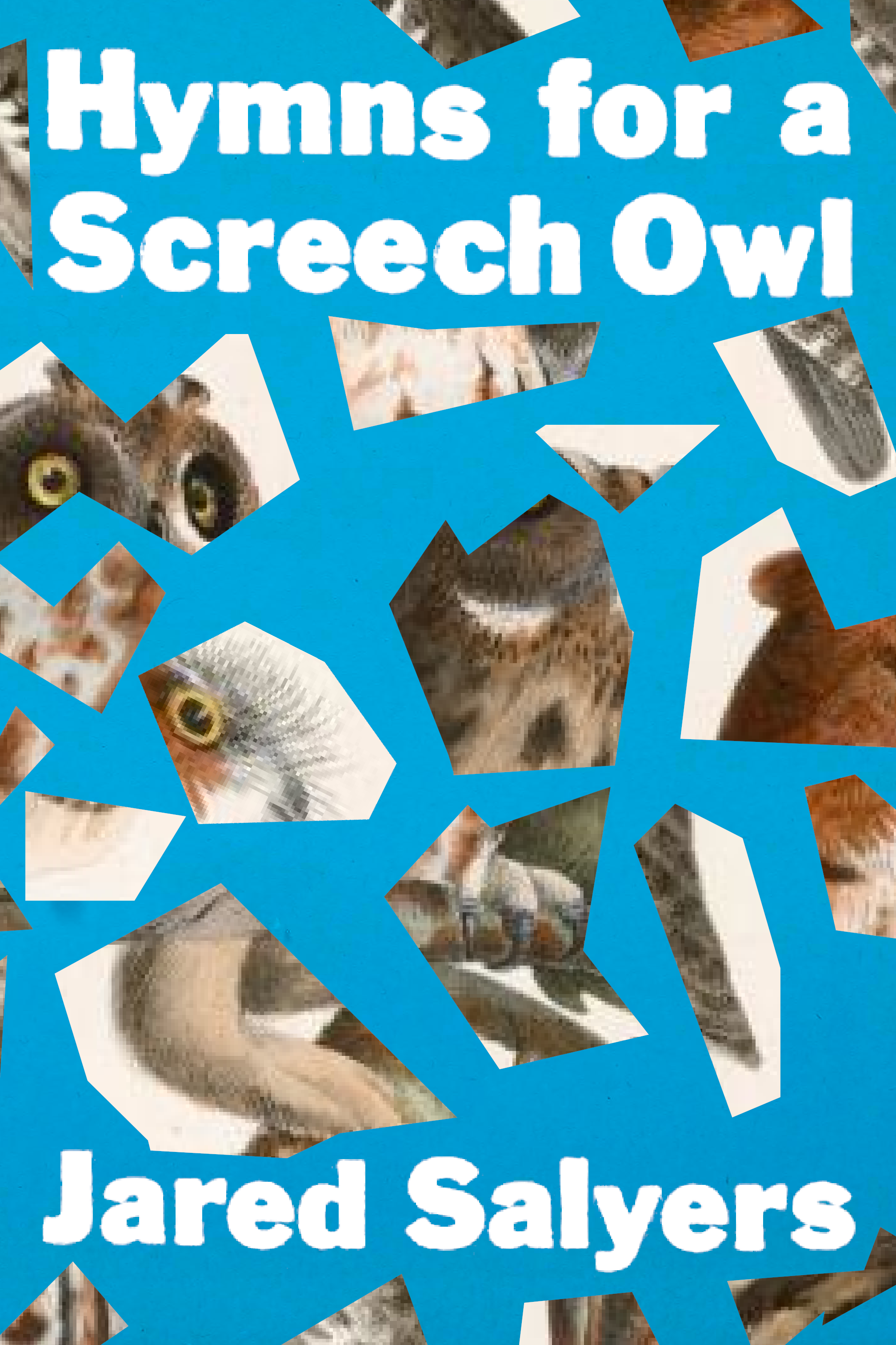 Hymns for a Screech Owl, by Jared Salyers