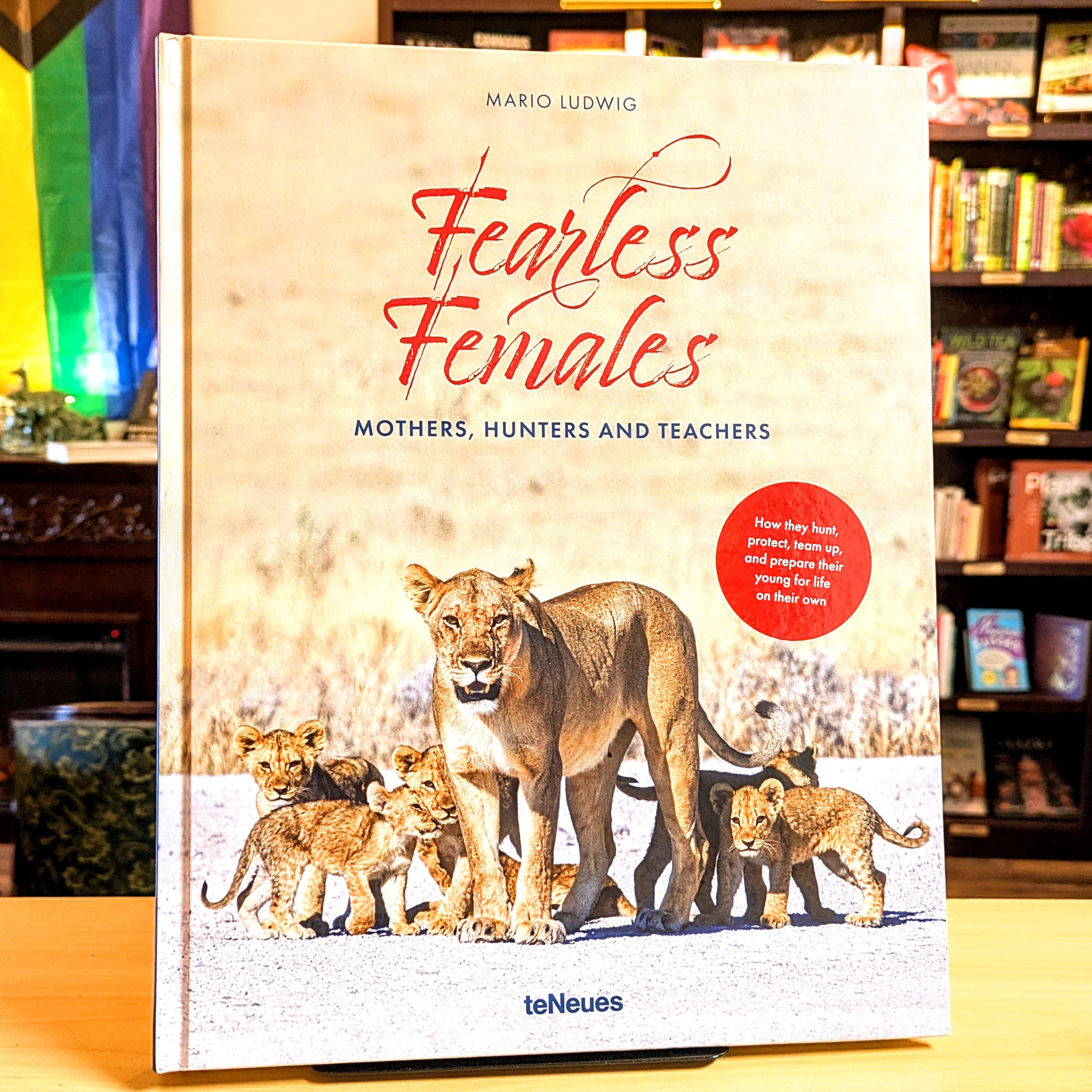 Fearless Females: Mothers, Hunters and Teachers