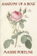 Anatomy of a Rose, by Maddie Portune
