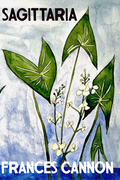 Sagittaria, by Frances Cannon
