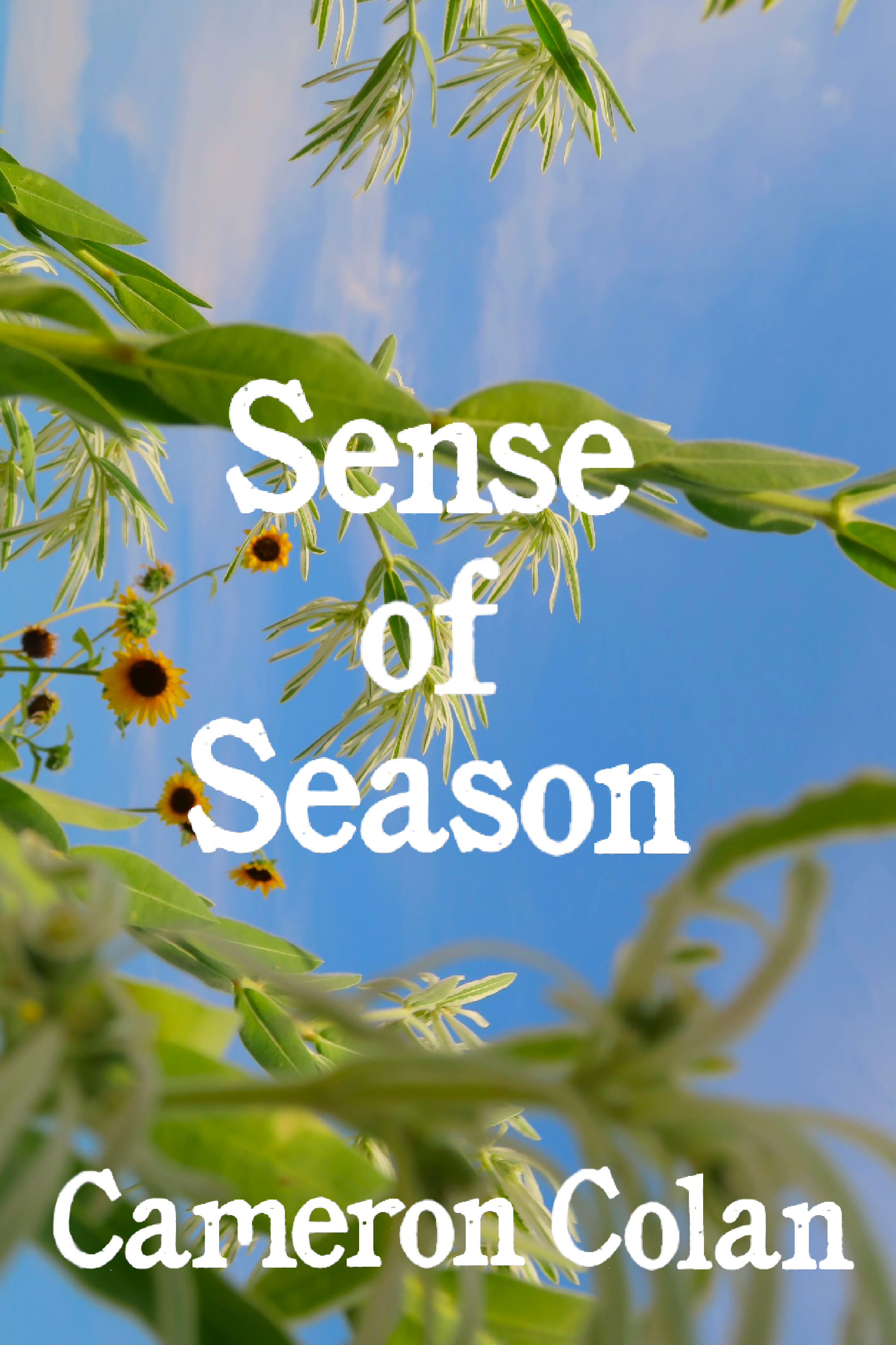 Sense of Season, by Cameron Colan