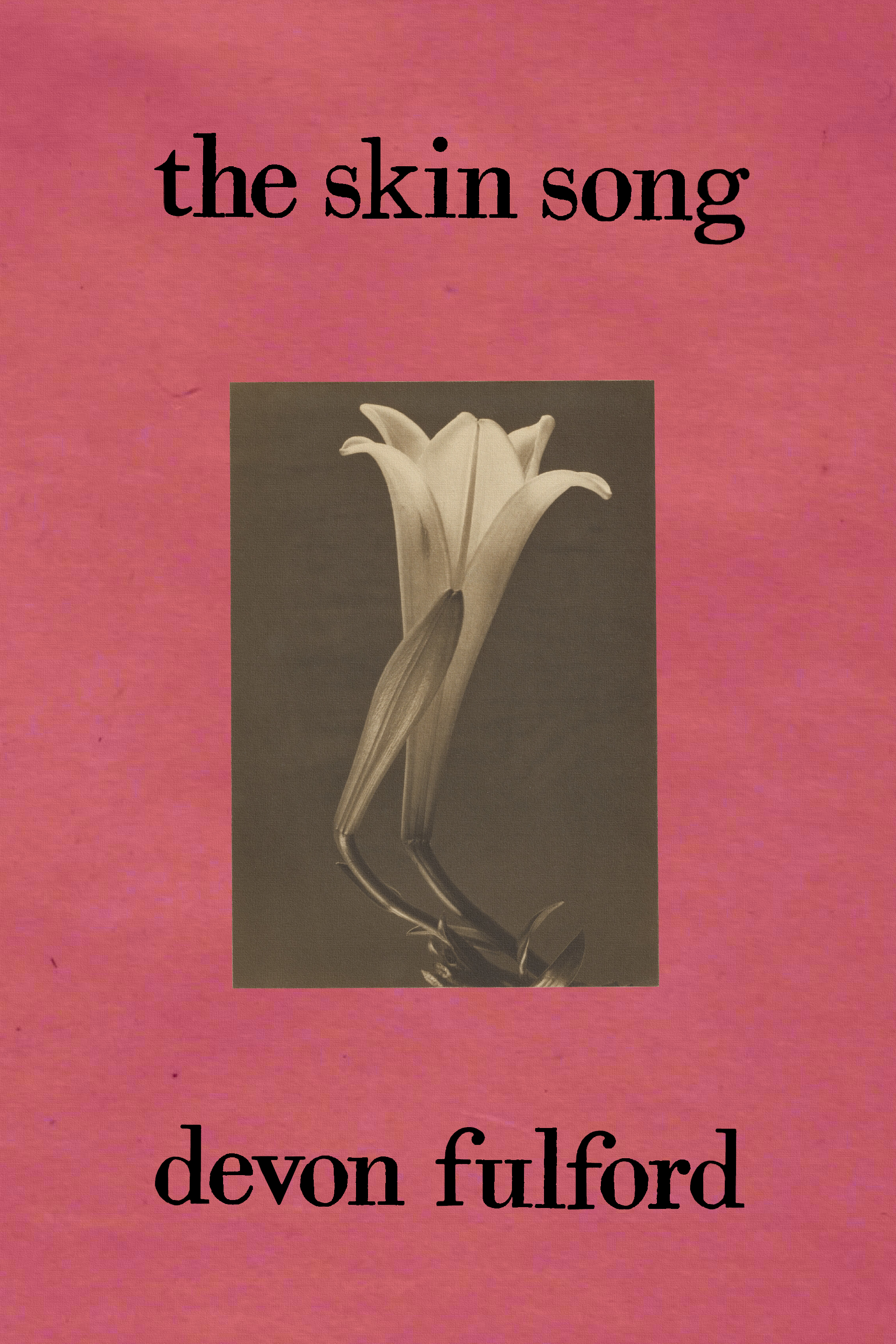 the skin song, by devon fulford