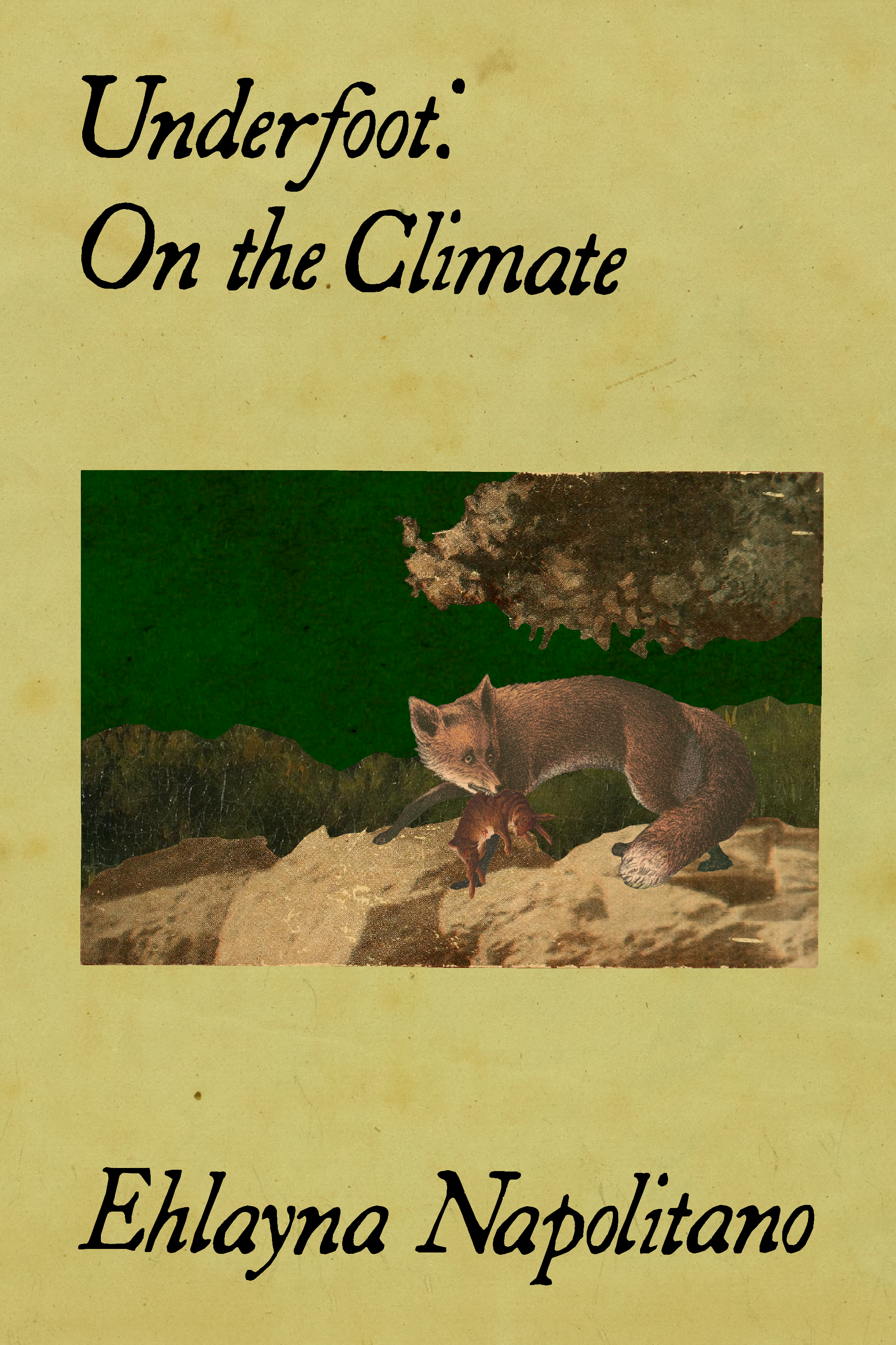 Underfoot: On the Climate, by Ehlayna Napolitano