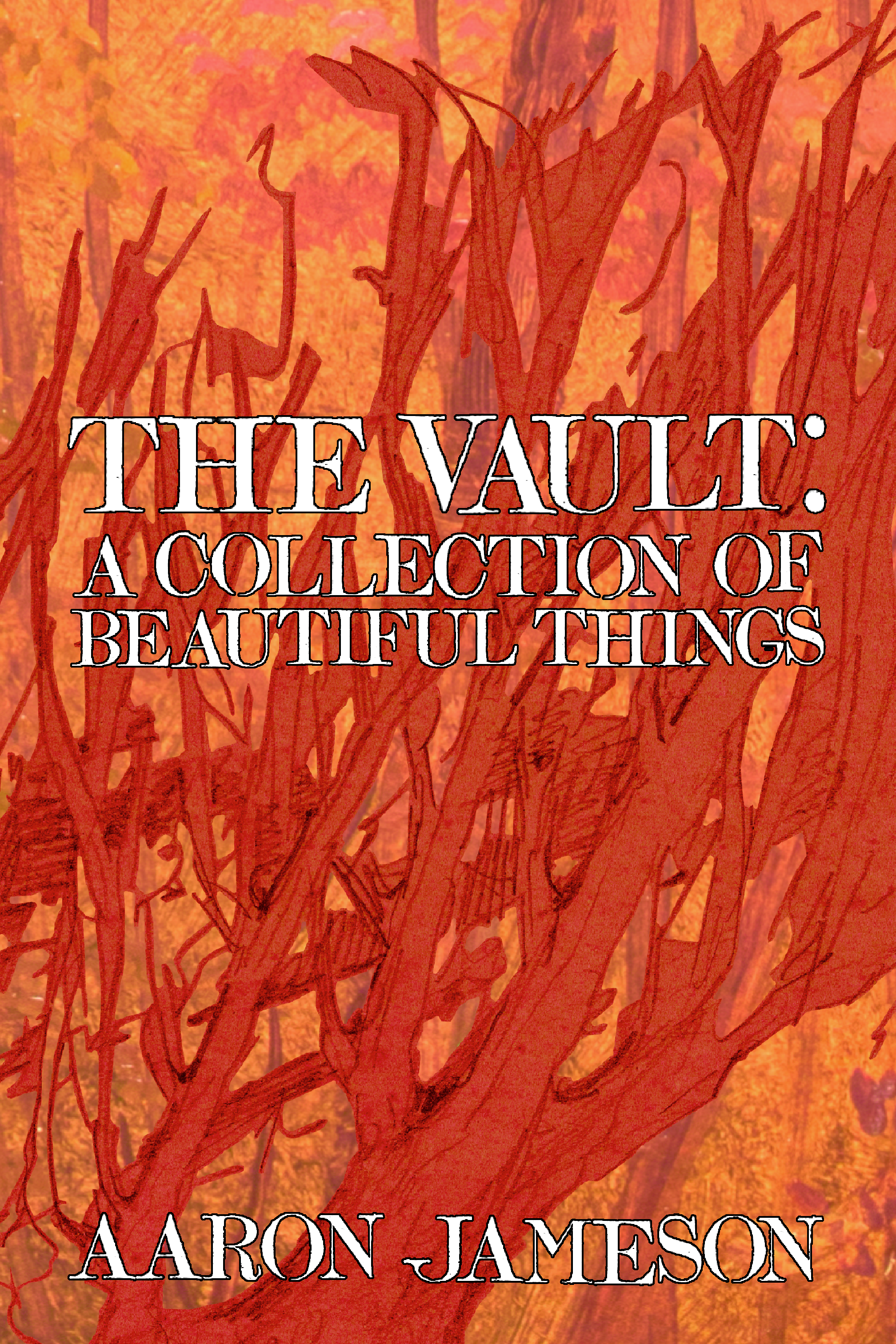 The Vault: A Collection of Beautiful Things, by Aaron Jameson