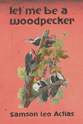 let me be a woodpecker, by Samson Leo Actias